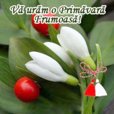 Cotidianul Replica vă urează o primăvară frumoasă!